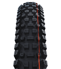 Schwalbe Albert Radial Tires