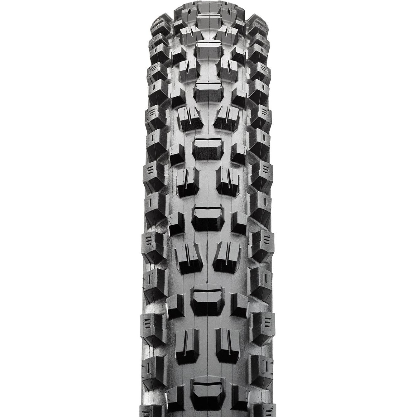 Maxxis Assegai Tire - The PM Cycles - Singapore | Fidlock - Forbidden Bike