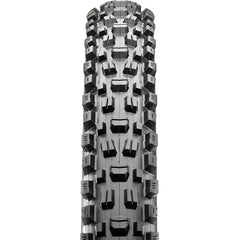 Maxxis Assegai Tire - The PM Cycles - Singapore | Fidlock - Forbidden Bike