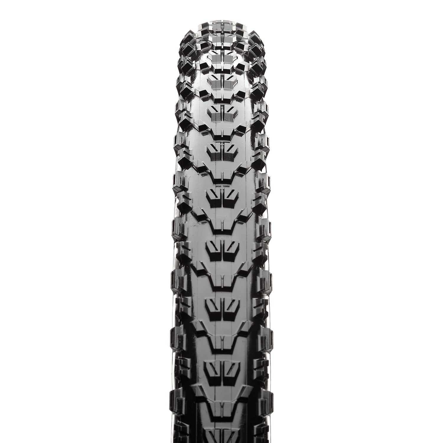 Maxxis Ardent Tire - The PM Cycles - Singapore | Fidlock - Forbidden Bike