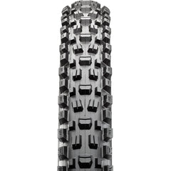 Maxxis Assegai Tire - The PM Cycles - Singapore | Fidlock - Forbidden Bike