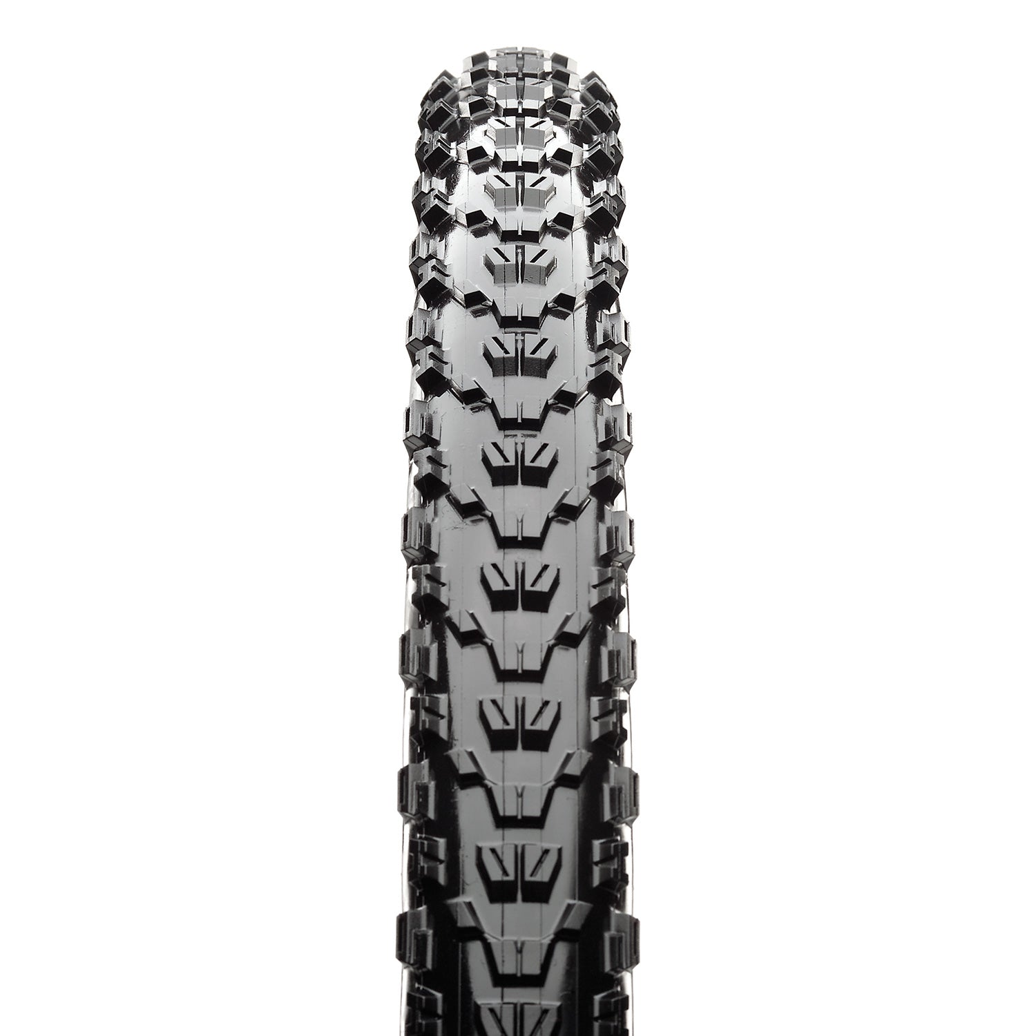 Maxxis Ardent Tire - The PM Cycles - Singapore | Fidlock - Forbidden Bike 