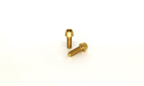 Titanium Hex Bolts - Grade 5