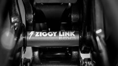 Forbidden Druid Ziggy Link - Mullet Conversion